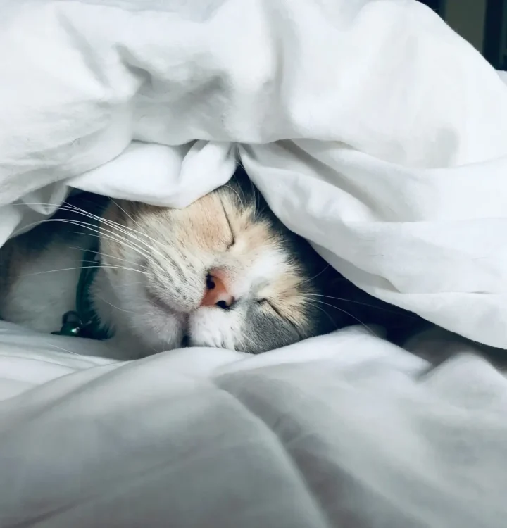 Tratamiento insomnio